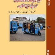 Public Transport Shortage in the City – Challenges of Urban Mobility